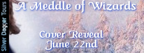 A Meddle of Wizards by Alexandra Rushe COVER REVEAL @SDSXXTours @a_rushe