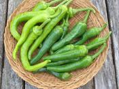 Pickled Green Chillis