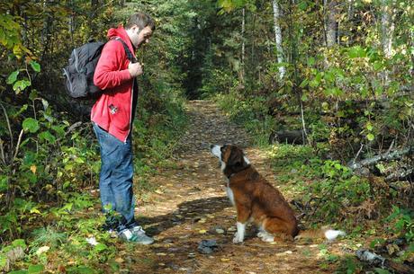 Keira's Provincial Park dog tours: High Falls, Algonquin Park, Ontario Canada