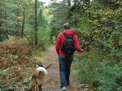 Keira's #ProvincialPark #dog Tours #HighFalls #AlgonquinPark #Ontario #Canada