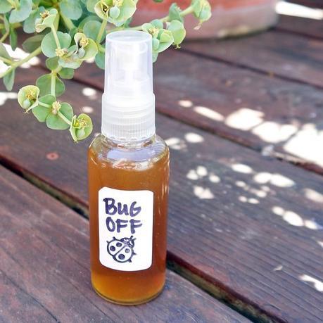 Here’s A “Scent-sational” DIY All-Natural Bug Spray To Keep Those Pesky Mosquitoes Away!