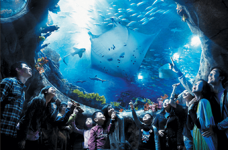 List of 8 Best Amusement Parks in Asia 