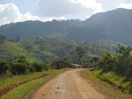 Rwenzori Mountains foothills scenery