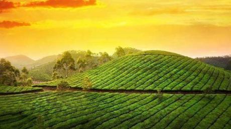 Top Places To Visit In The City Kerala Known As God’s Own Country