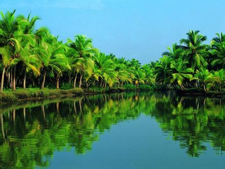Top Places To Visit In The City Kerala Known As God’s Own Country