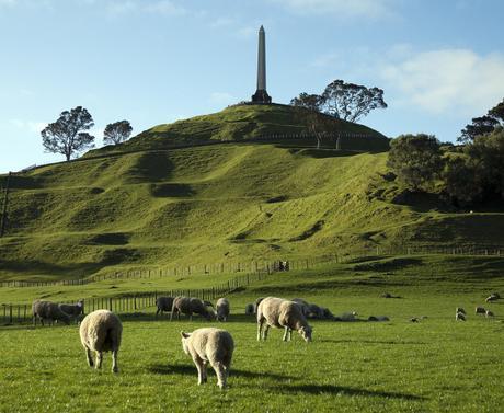 It’s Not Always Bad To Be Lost If You Are Lost In Right Direction: Auckland The Right Destination