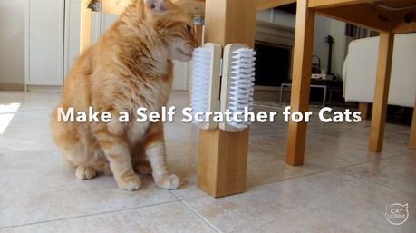 [Video] #4 –How to make a DIY Self-Scratcher for Cats in 2 min