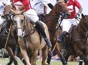 Talking Happy Bitch Wines Victory with Steve Roffwarg