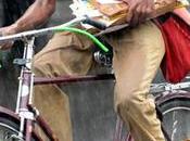 Pecking Crow Drives Suspension Postal SErvice