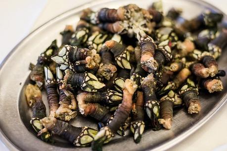 eating 'percebes' (goose/neck barnacles) is like eating the sea