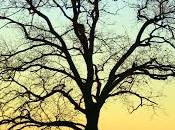 Quote Life, Living Learning