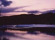 H&amp;H Kaplan's News Actors Arrive