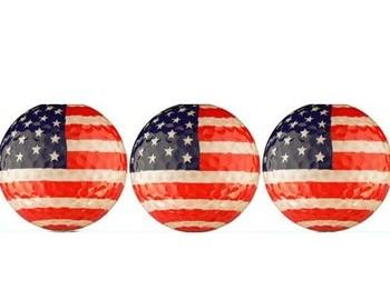 We Wish You a Joyful Independence Day - USA! USA!