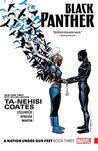 Black Panther: A Nation Under Our Feet Vol. 3 (Black Panther 2016-)