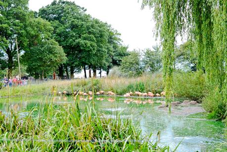 whipsnade zoo