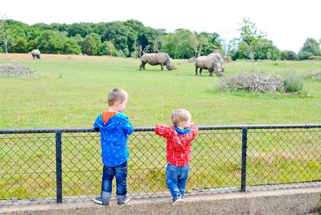 whipsnade zoo