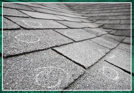 Basics You Need to Know About Purchasing New Roof