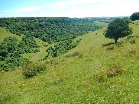 Cranborne Chase Weekend