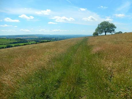 Cranborne Chase Weekend