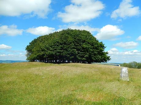 Cranborne Chase Weekend