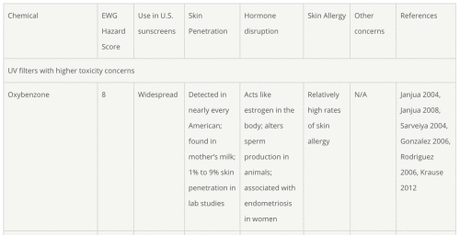 What’s the Deal with Sunscreen and How to Assess Scientific Authority