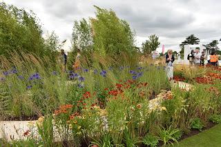 The wonders of RHS Hampton Court Flower Show