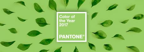 The usage of colors in the life of designers: The Pantone Color Guide in depth!