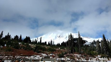 Postcard From Seattle - Mount Rainier
