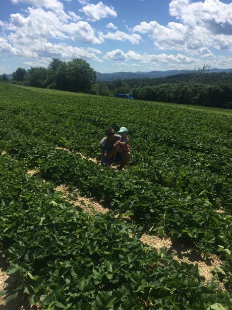 douglas orchard and cider mill shoreham vt