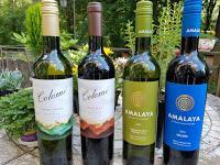 The Latest from “Wines of Altitude” with Amalaya Wines & Bodega Colomé
