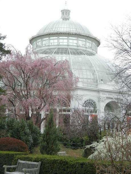 Orchid Show at the Botanical Gardens