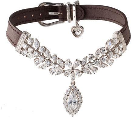 Diamond Dog Collar