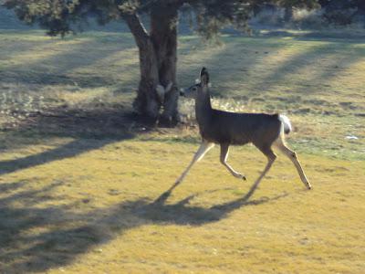 First Day: Eagle Crest :)