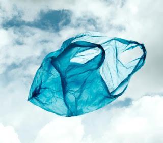 Paper Bags vs. Plastic Bags