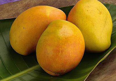 The Health Benefits of Mangoes