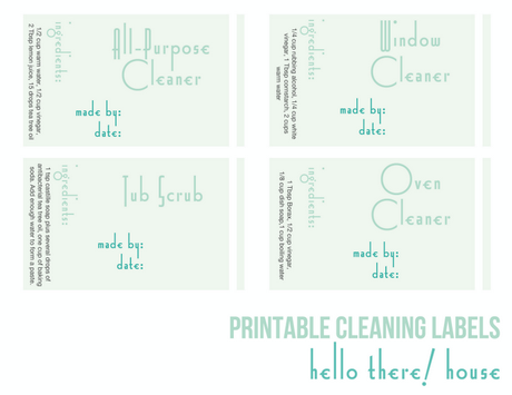 Free Printable Friday:  Spring Cleaning