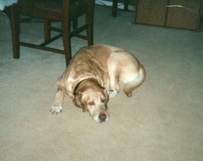 Wilson's Homer Boy...AKA  Buddy