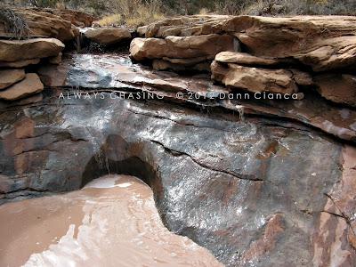 2012 - March 6th - West Fork Pollock Canyon, McInnis Canyons National Conservation Area / Black Ridge Canyons Wilderness