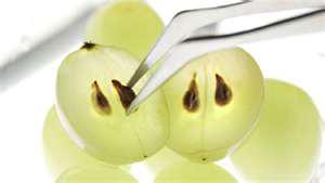 Mega Care Grape seed oil and important information about Grape seed oil