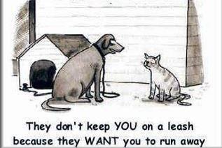 Friday Funny