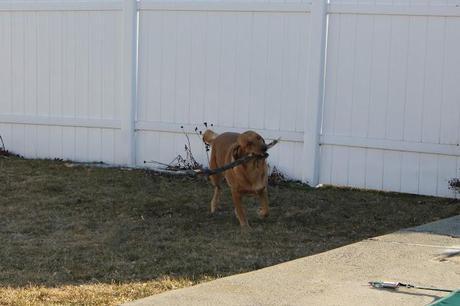 Almost Spring Clean Up