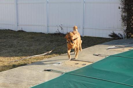 Almost Spring Clean Up