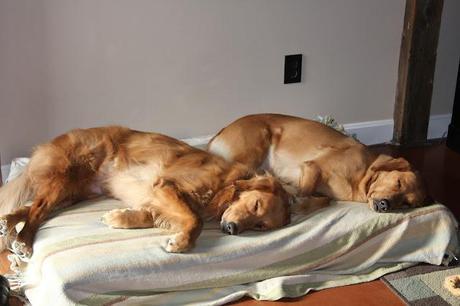 Almost Spring Clean Up