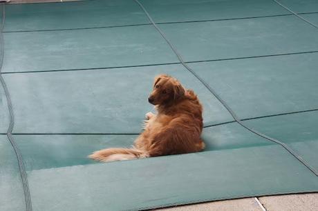 Almost Spring Clean Up