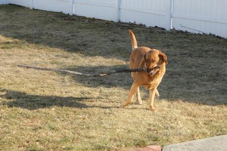 Almost Spring Clean Up