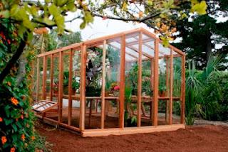 Business Ideas : Greenhouse