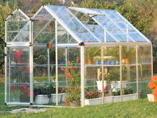 Business Ideas : Greenhouse