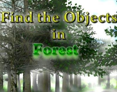 Find The Objects In Forest