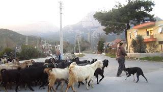 Saklikent: Alps on the Turkish Mediterranean