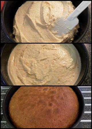 Orange & Polenta Cake -Bake cake collage